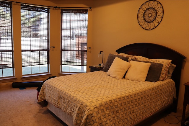 bedroom with carpet floors