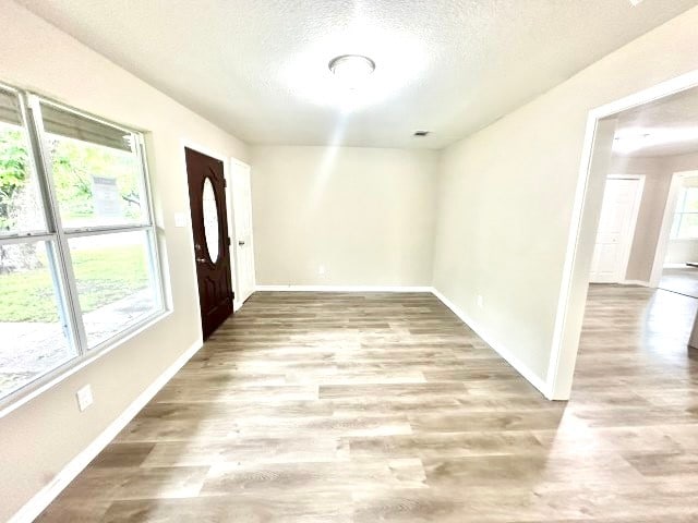 foyer entrance featuring a wealth of natural light, hardwood / wood-style floors, and a textured ceiling