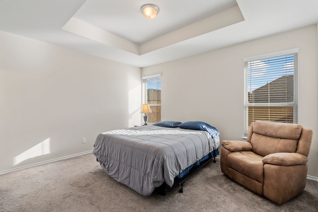 carpeted bedroom with a tray ceiling and multiple windows