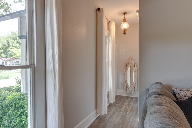 interior space featuring a wealth of natural light and wood-type flooring