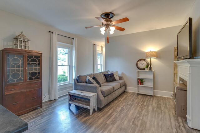 living room with hardwood / wood-style flooring and ceiling fan