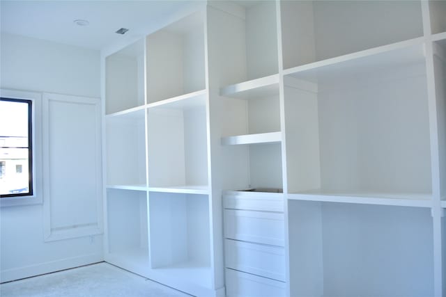 view of closet