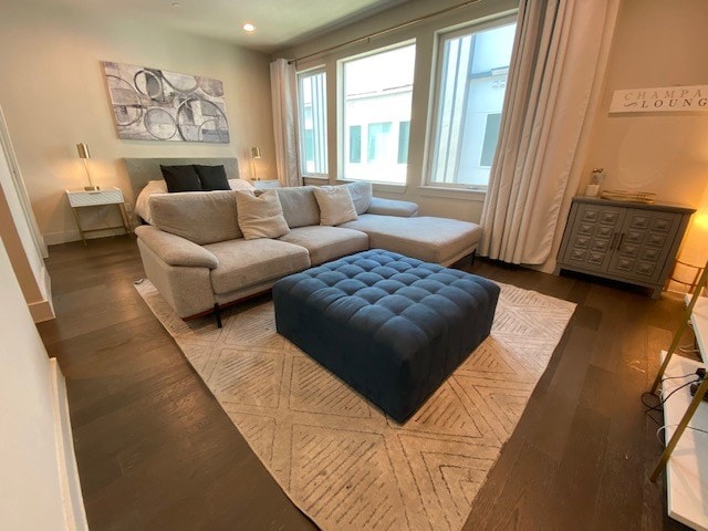 living room featuring dark wood-type flooring