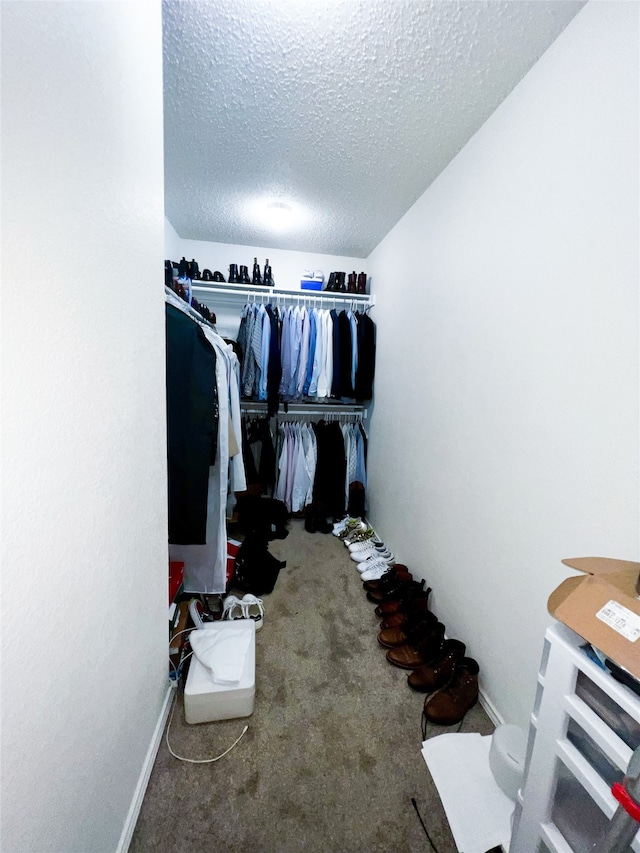 walk in closet with carpet floors