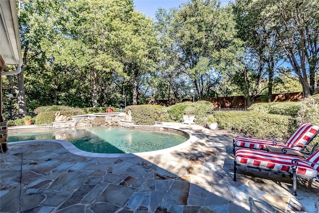 view of pool featuring a patio