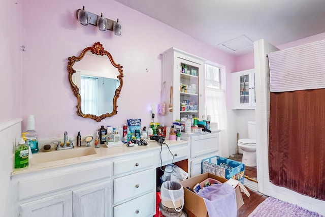 bathroom featuring hardwood / wood-style floors, vanity, and toilet