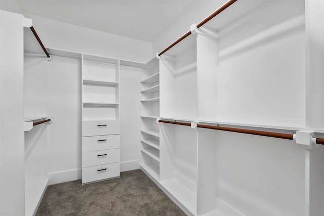 walk in closet with dark carpet