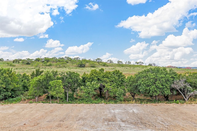 view of nature featuring a rural view