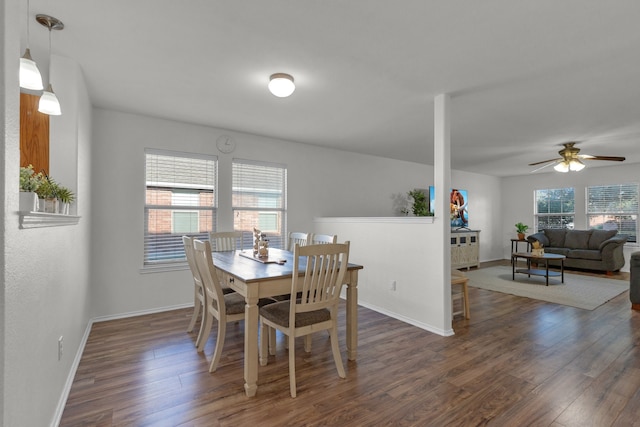 dining area with ceiling fan, a healthy amount of sunlight, and dark hardwood / wood-style floors