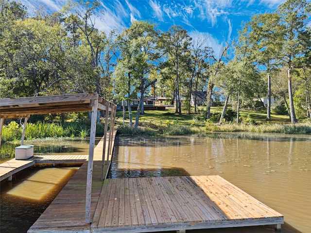 dock area featuring a water view