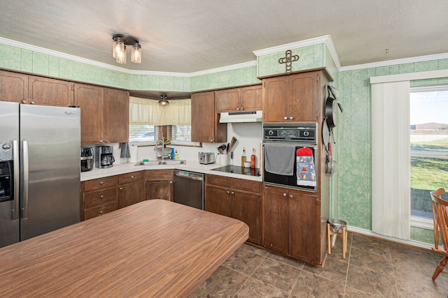 kitchen featuring crown molding, a healthy amount of sunlight, sink, and stainless steel appliances