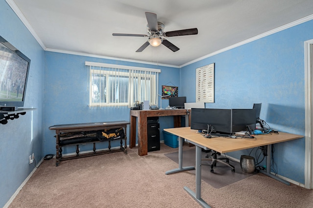 office featuring ceiling fan, carpet floors, and crown molding