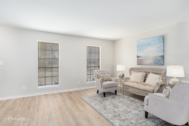 living room with light wood-type flooring