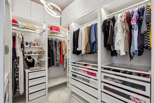 view of walk in closet