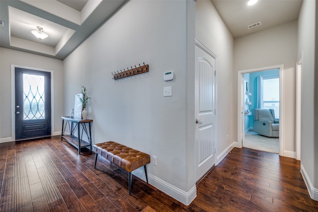 foyer entrance with plenty of natural light and dark hardwood / wood-style flooring