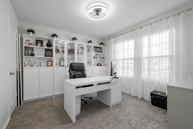 office featuring light colored carpet