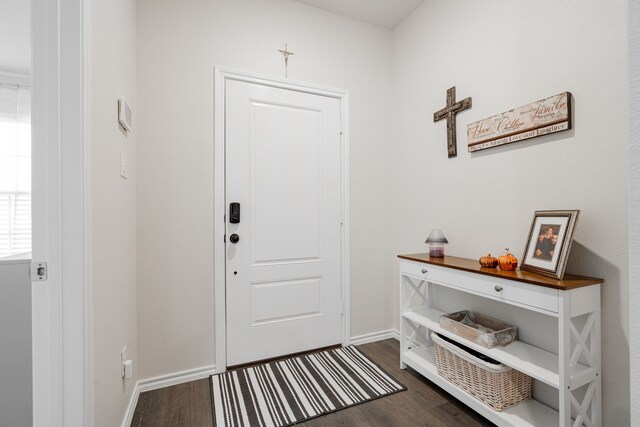 entrance foyer with dark hardwood / wood-style flooring