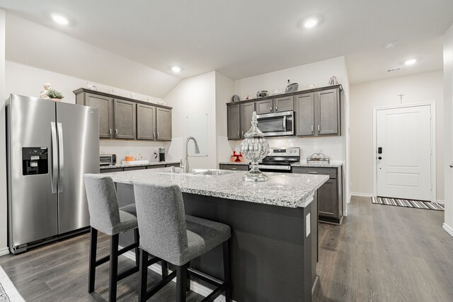 kitchen featuring dark wood-type flooring, stainless steel appliances, a center island with sink, and sink