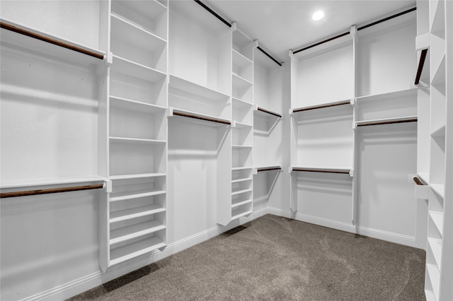 walk in closet featuring carpet