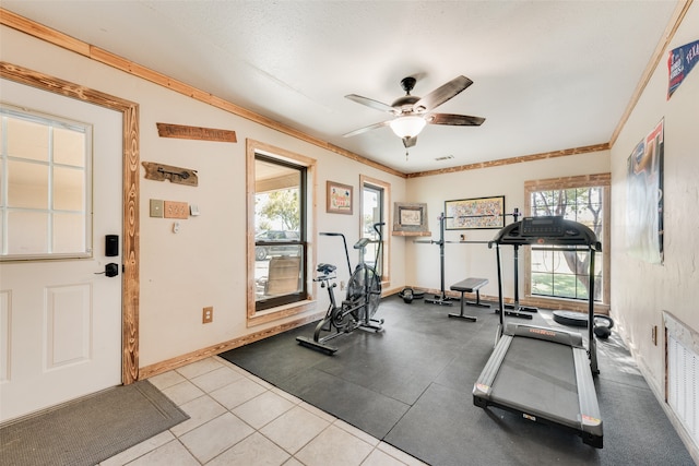 exercise room featuring a wealth of natural light, ceiling fan, and crown molding