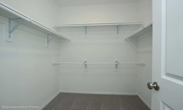 spacious closet featuring dark colored carpet