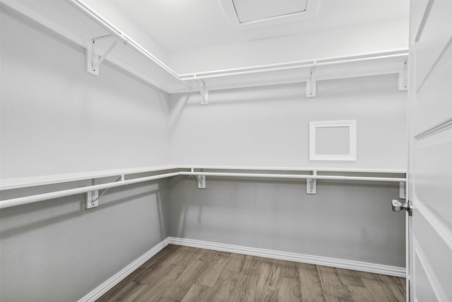 spacious closet featuring hardwood / wood-style flooring