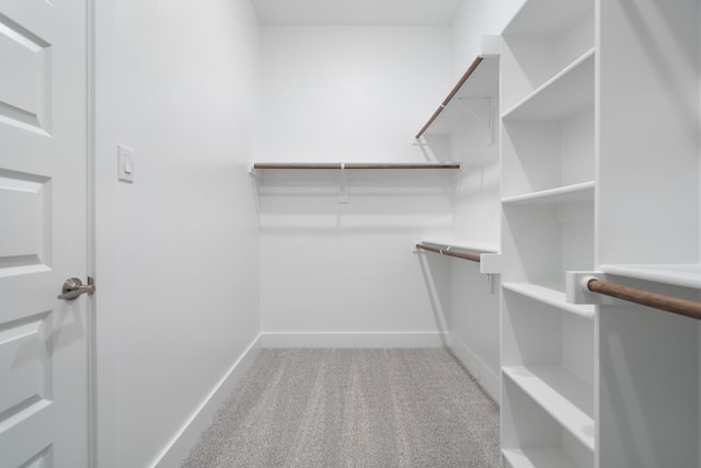 walk in closet with light colored carpet