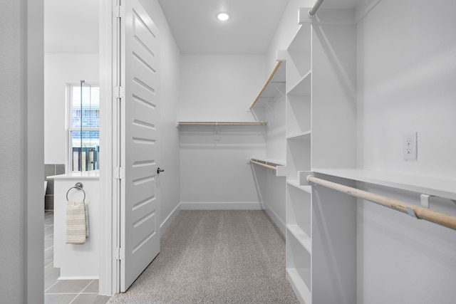 walk in closet with light colored carpet