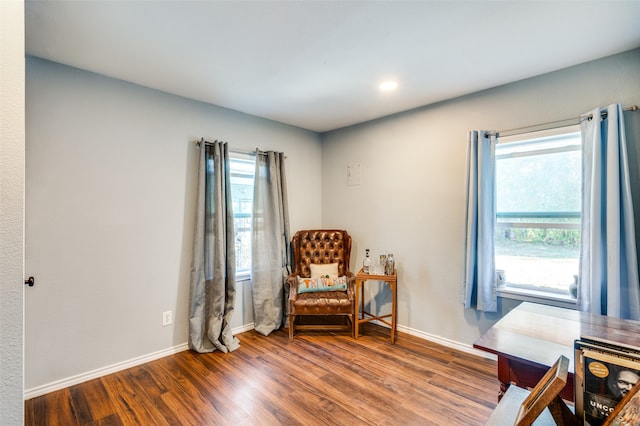 living area featuring wood-type flooring