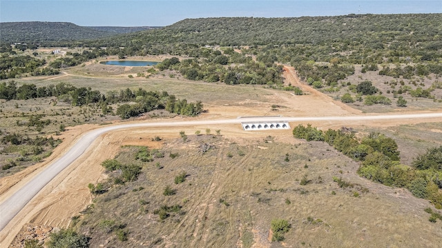 Listing photo 3 for LOT28 Dobbs Valley Rd, Santo TX 76067