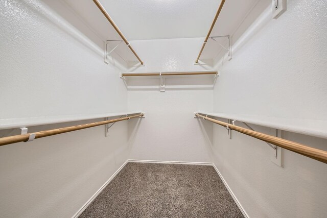 spacious closet featuring carpet