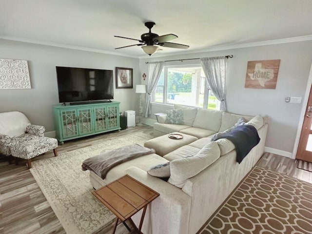 living room with ceiling fan, ornamental molding, and wood-type flooring