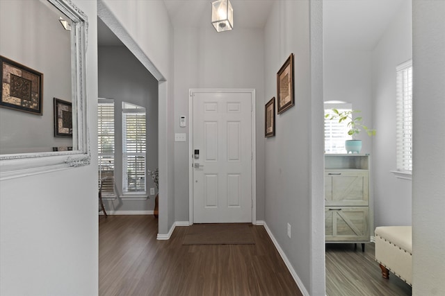 entryway with wood-type flooring and vaulted ceiling