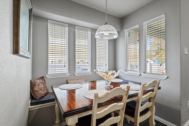 view of dining space