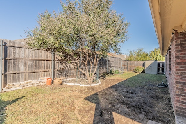 view of yard featuring a storage unit