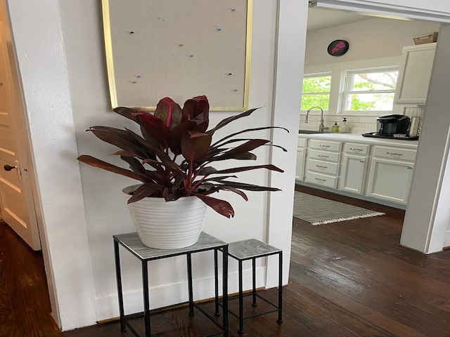 interior details featuring hardwood / wood-style flooring and sink