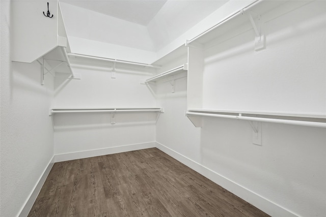 spacious closet featuring dark hardwood / wood-style floors