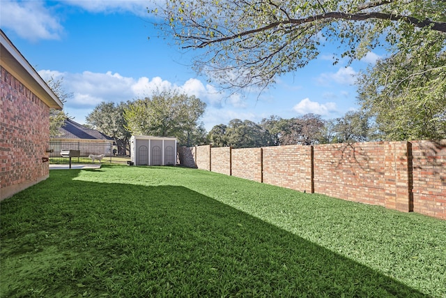 view of yard with a storage shed