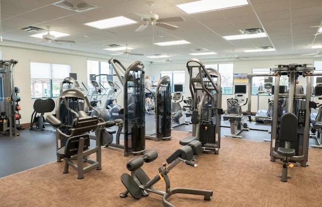 workout area featuring a paneled ceiling, ceiling fan, and light carpet