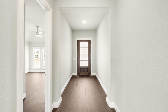 doorway to outside featuring dark wood-type flooring, plenty of natural light, baseboards, and ceiling fan