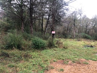 Listing photo 3 for TBD Cedar Acres Loop, Mabank TX 75147