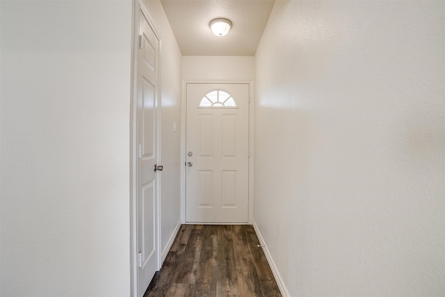 doorway featuring dark wood-type flooring