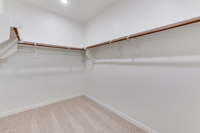 walk in closet featuring carpet floors