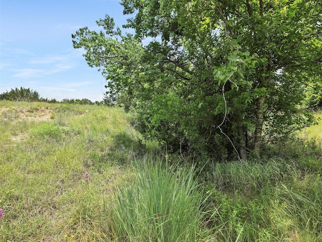 Listing photo 2 for TBD Ellis Rd, Weatherford TX 76088