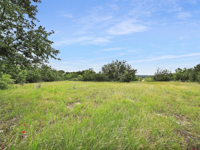 Listing photo 3 for TBD Ellis Rd, Weatherford TX 76088