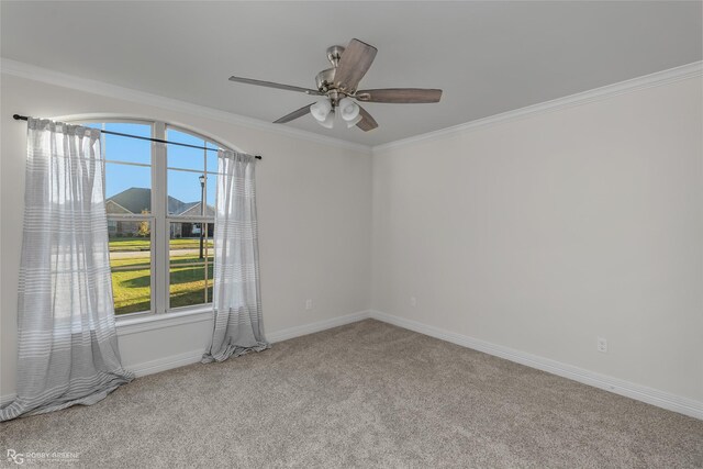 carpeted empty room featuring ceiling fan and ornamental molding