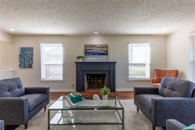 living room featuring a wealth of natural light, hardwood / wood-style floors, and a textured ceiling