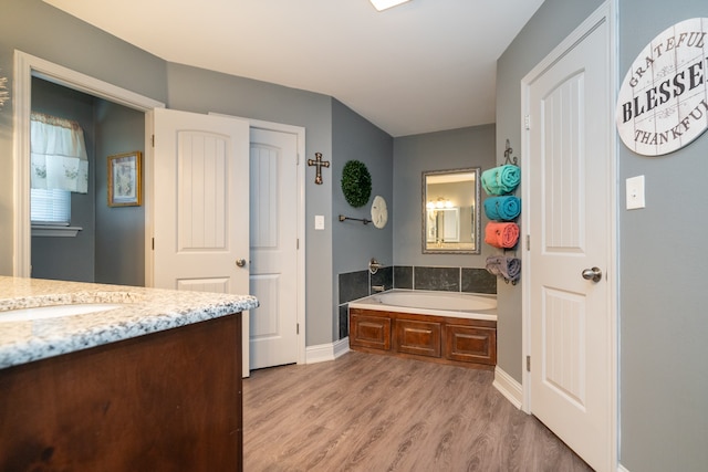 bathroom featuring a bathing tub, vanity, and wood-type flooring