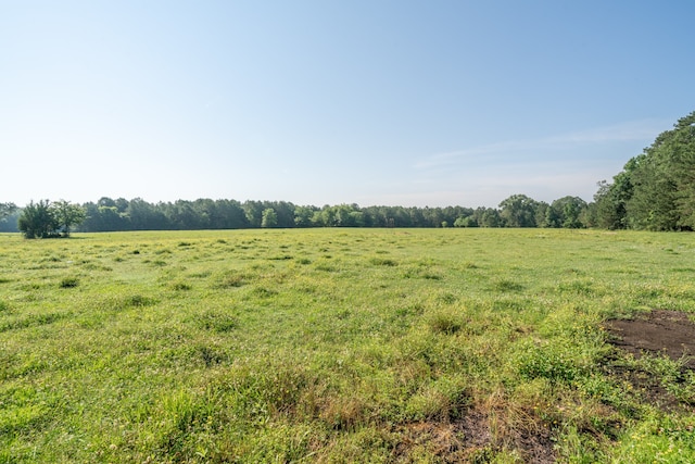 view of local wilderness with a rural view