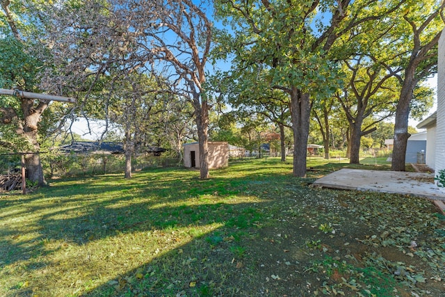 view of yard featuring a patio and a shed